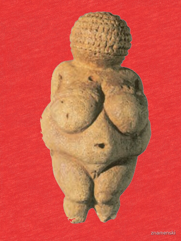 #Venus of #Willendorf #artifact sculpture art figurine statue humanbody #VenusofWillendorf by znamenski