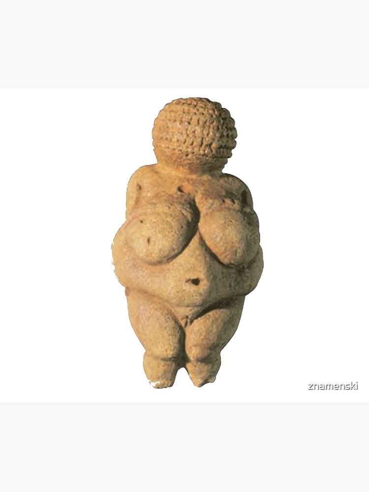 #Venus of #Willendorf #artifact sculpture art figurine statue humanbody #VenusofWillendorf by znamenski