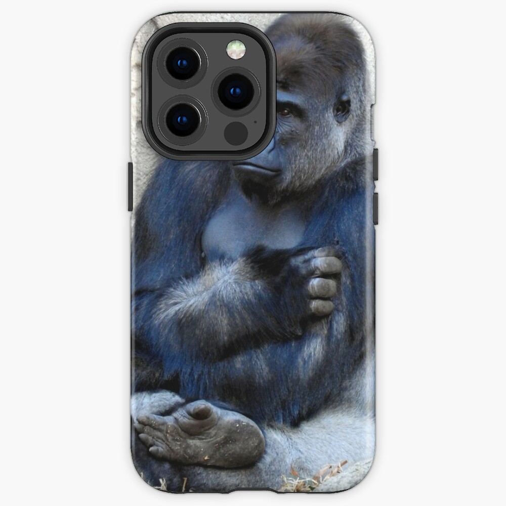 gorilla iphone 13