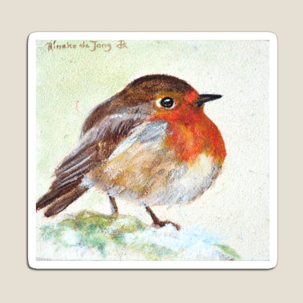 Robin Magnet