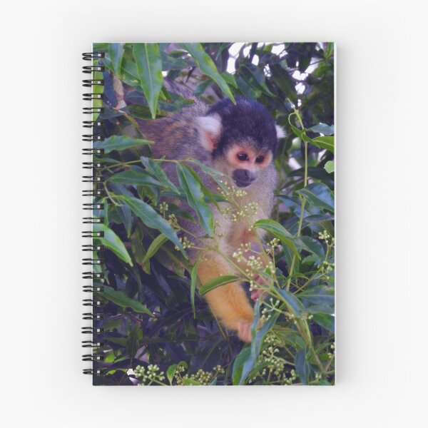 Item preview, Squirrel Monkey designed and sold by kirstybush.