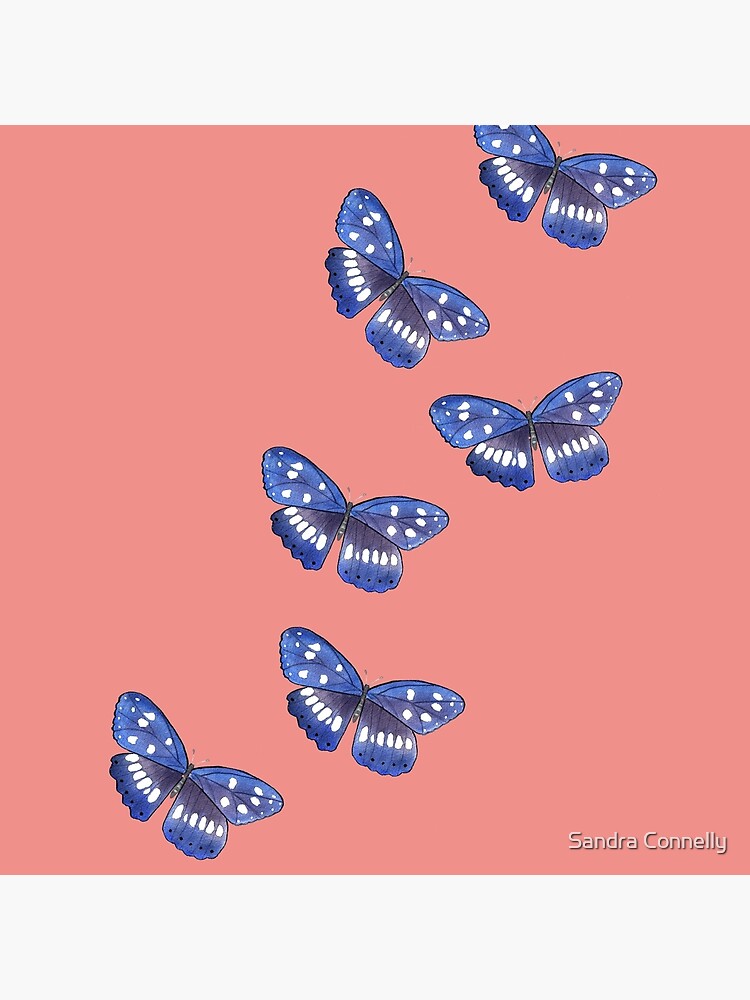 Blue Butterflies With Coral Pink Background Art Board Print By Sandraartist Redbubble