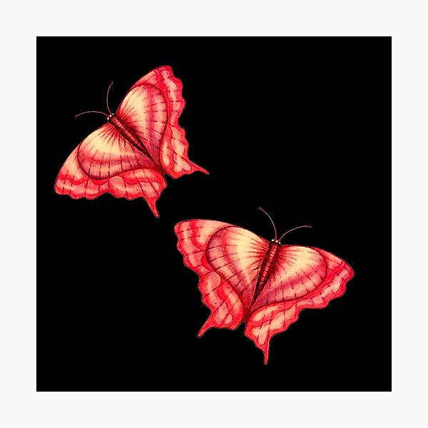 Heart Butterflies created by Stephanie Ann Garcia Photographic Print