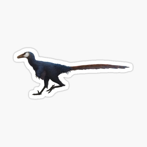 "Pectinodon bakkeri" Sticker for Sale by Saurian Redbubble