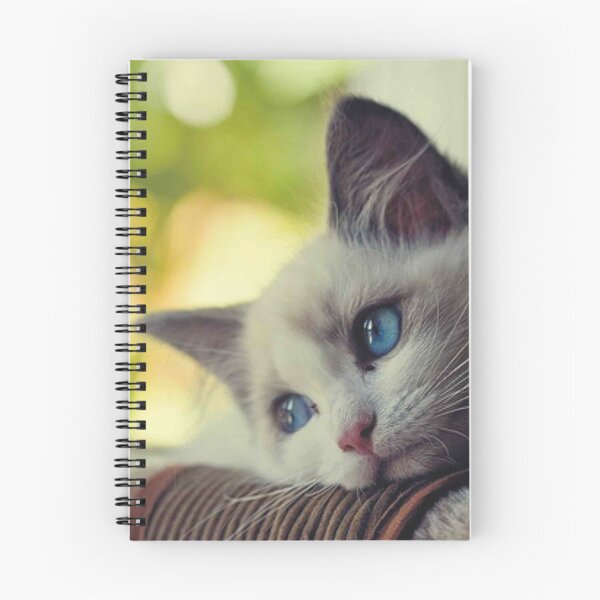 Item preview,  First World Problems Cat designed and sold by Meme Economy.