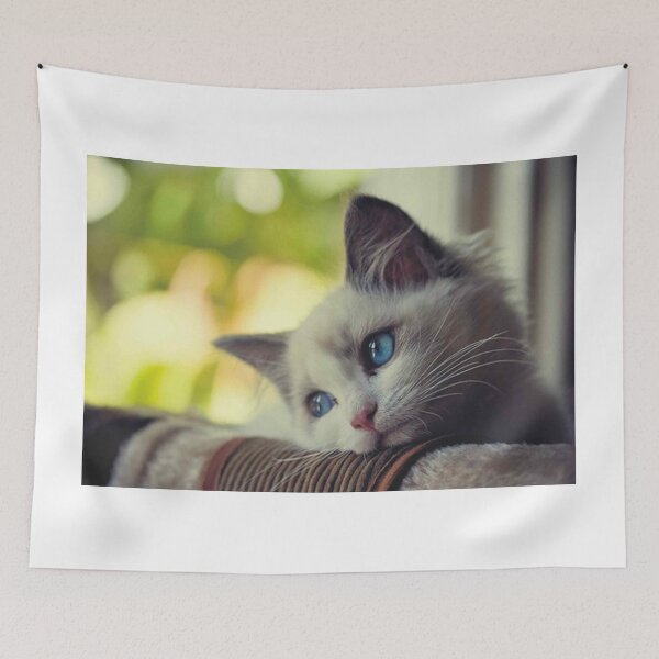 Item preview,  First World Problems Cat designed and sold by Meme Economy.