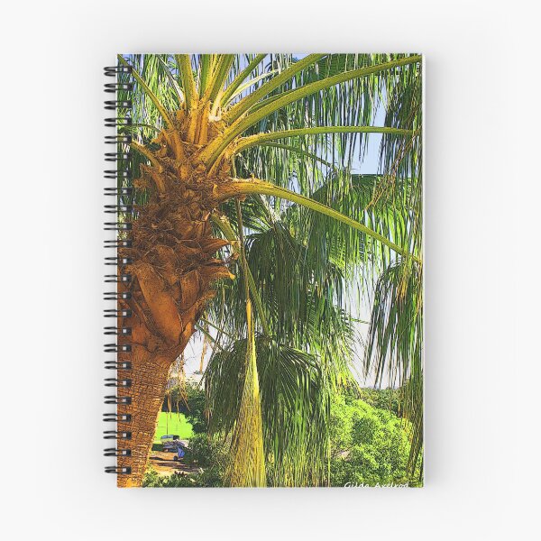 Item preview, Palm Outside the Window designed and sold by Gilda Axelrod.