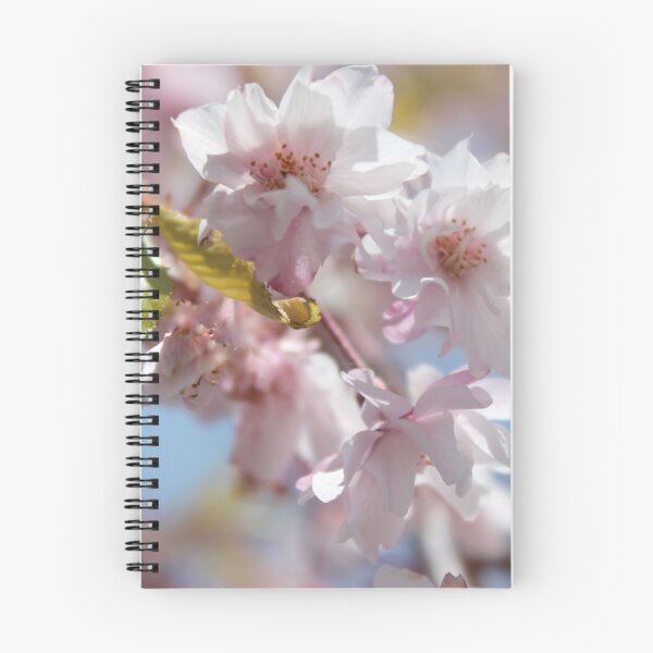 Item preview, Cherry Blossoms designed and sold by Gilda Axelrod.