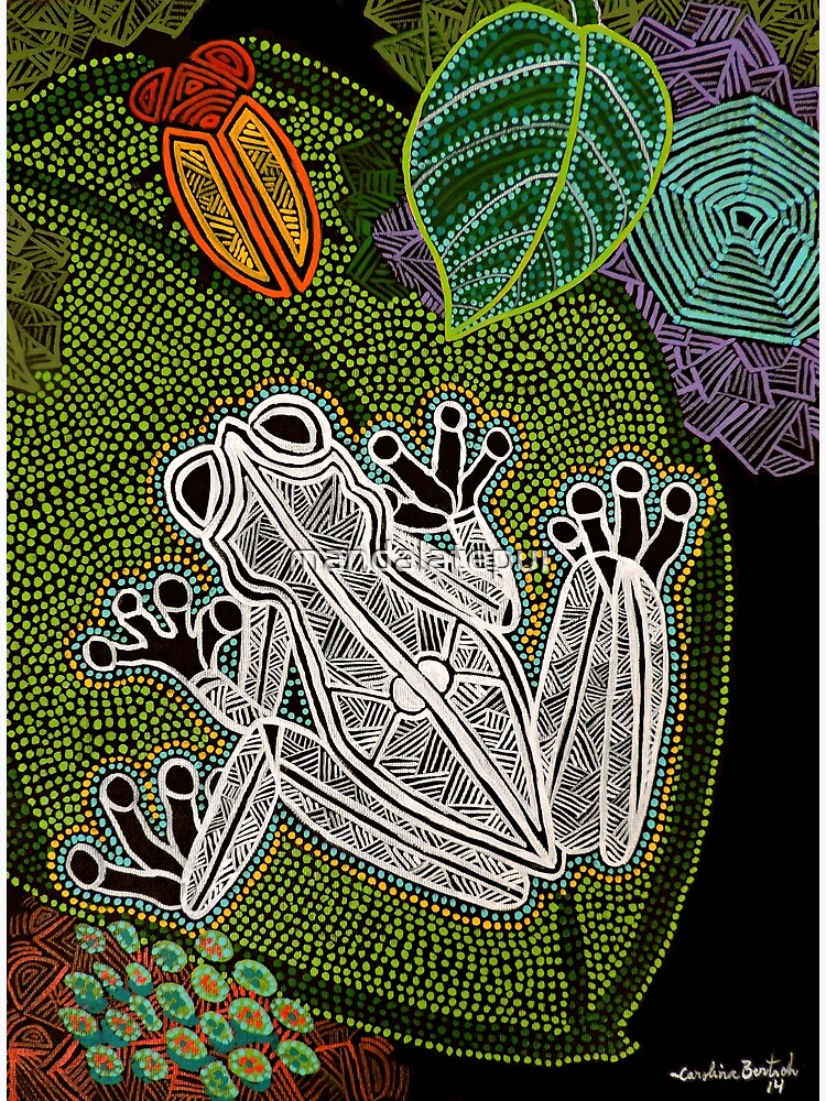 Aboriginal Frog I Rana Aborigen I Poster For Sale By Mandalatepui   Flat,750x,075,f Pad,750x1000,f8f8f8.u4 