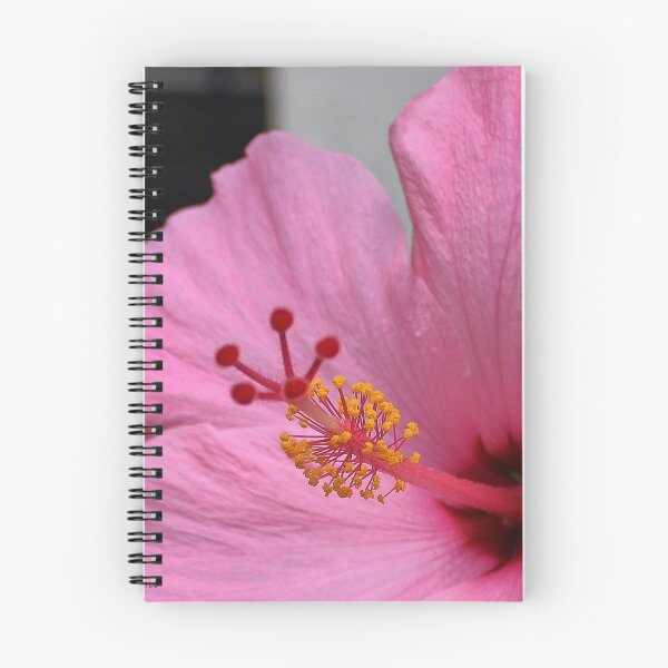 Item preview, Pink Hibiscus designed and sold by Gilda Axelrod.