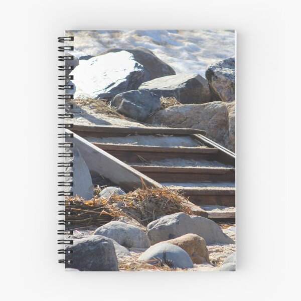 Item preview, Snowy Beach Steps designed and sold by Gilda Axelrod.