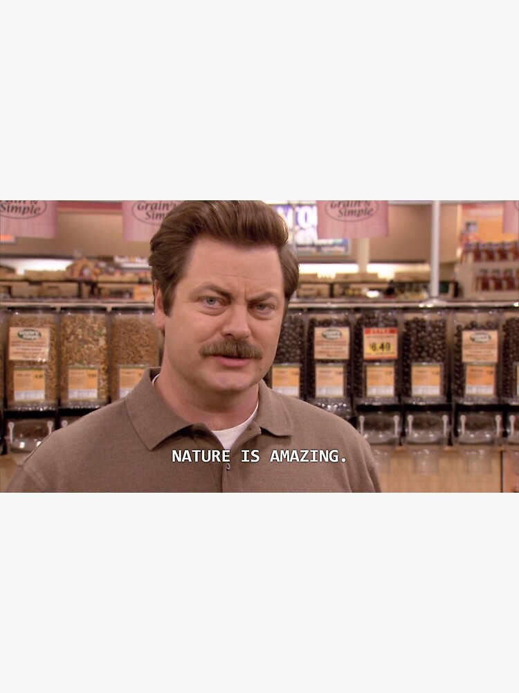 Parks and Recreation Funny Quotes