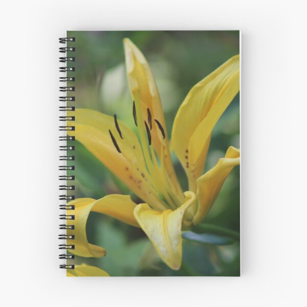 Item preview, Yellow Lily designed and sold by Gilda Axelrod.
