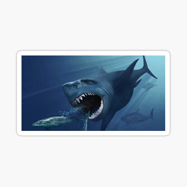 #Underwater #Shark #Swimming #Teeth Fish Water Sea Whale Sticker