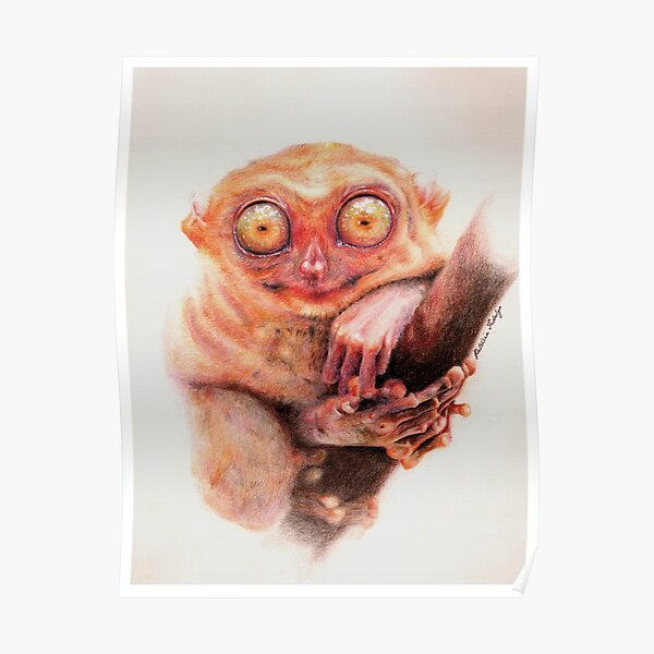Tarsier Poster