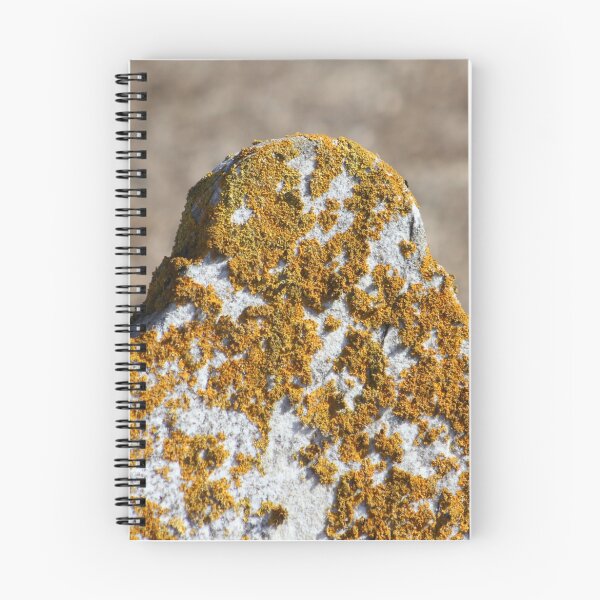 Item preview, Tombstone with Yellow Lichen designed and sold by Gilda Axelrod.