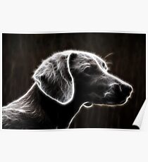Fractalius Weimaraner Poster