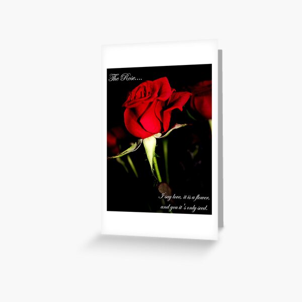 The Rose Greeting Card