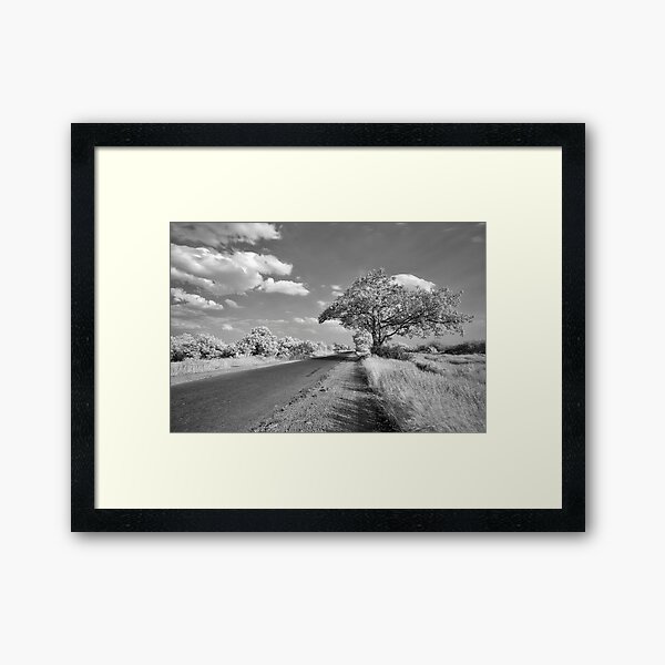 Lonely Afternoon Framed Art Print