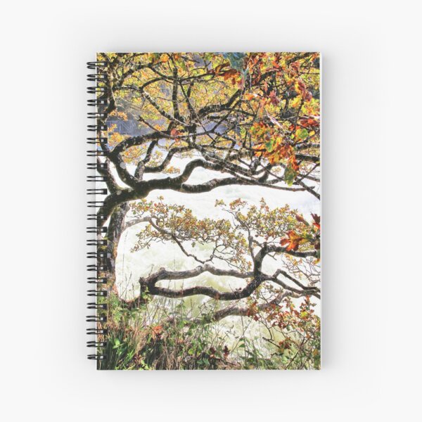 Tree talk Spiral Notebook