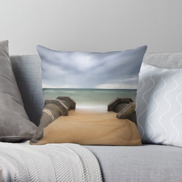 Throw Pillow