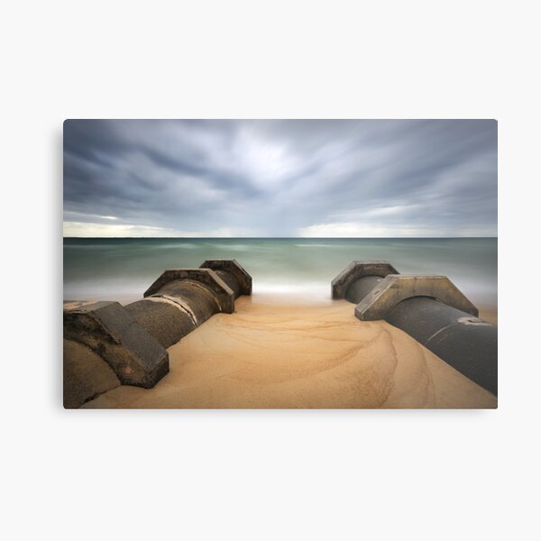 Metal Print
