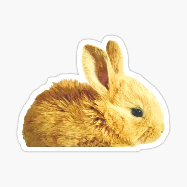 Item preview, Bunny Portrait designed and sold by Alemi.