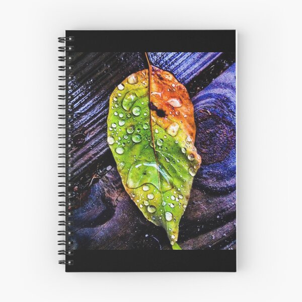 Item preview, Fall leaf designed and sold by Lauren Briggs.