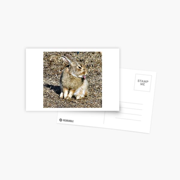 Take that .... Postcard