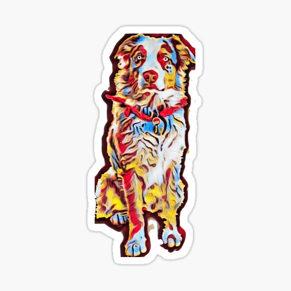 Red Merle Australian Shepherd Sticker