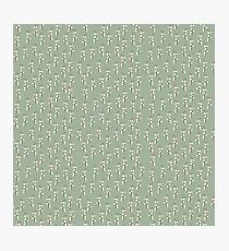 Lily of the Valley Photographic Print