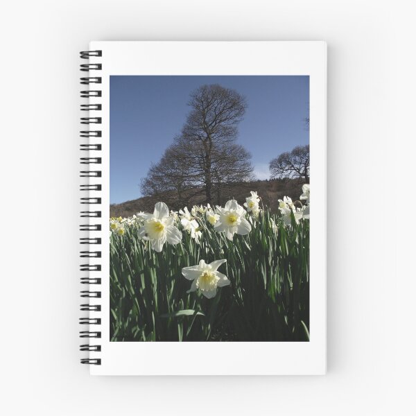 Item preview, 'daffodil days' designed and sold by JPOempathy.