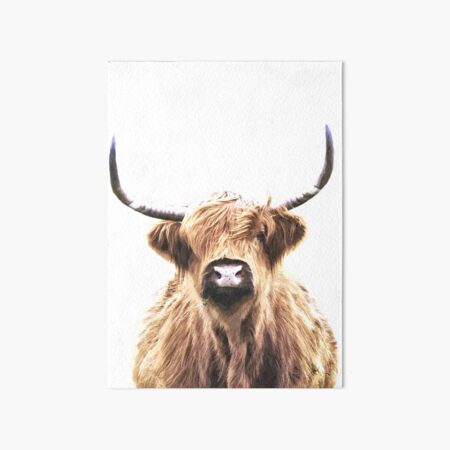 Highland Cow Art Board Print