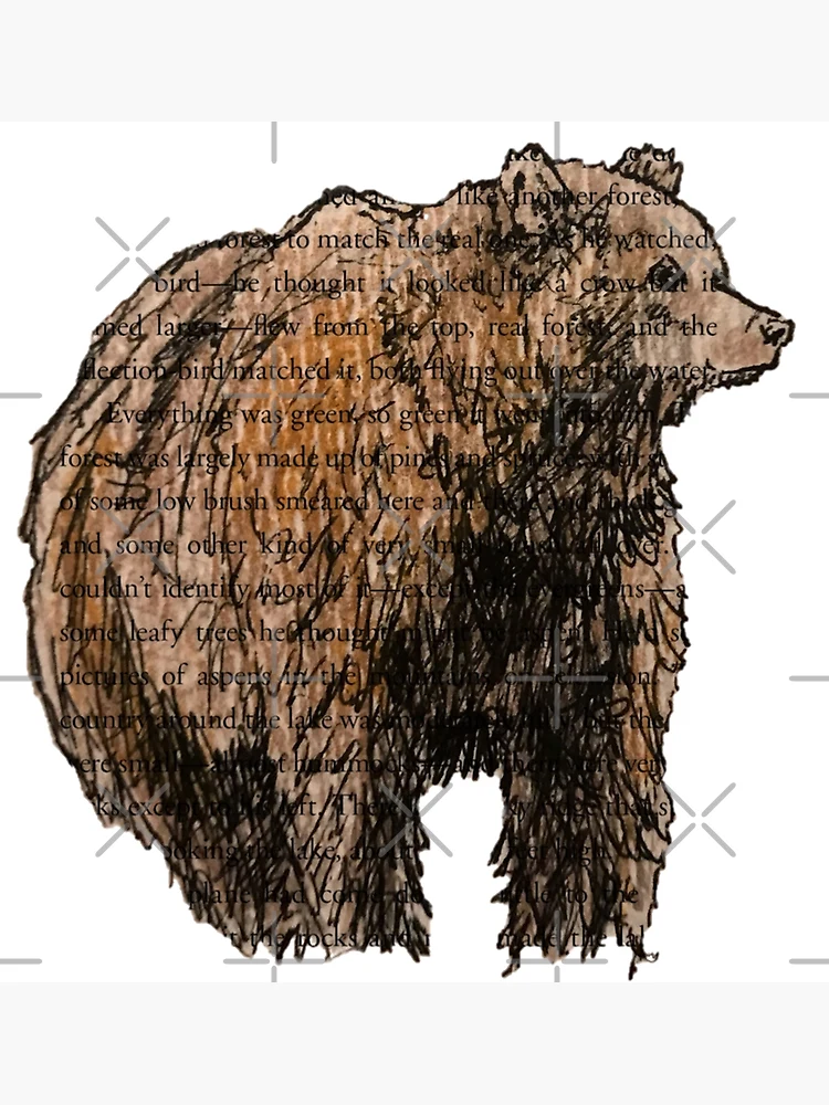 bear drawing