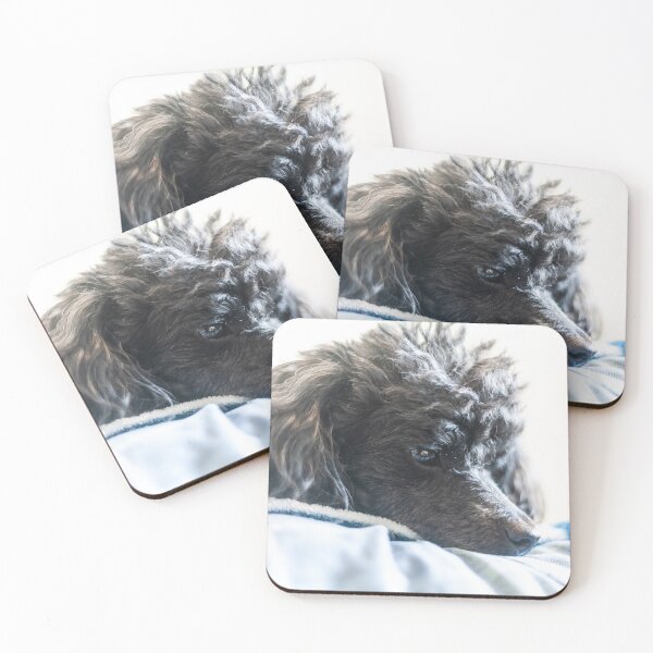 Item preview, time to rest designed and sold by KensLensDesigns.