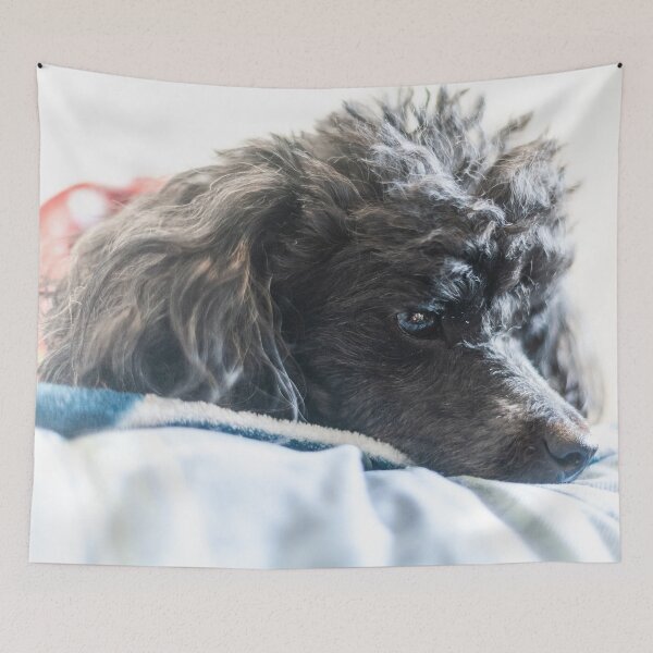 Item preview, time to rest designed and sold by KensLensDesigns.