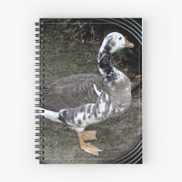Item preview, swan goose patches designed and sold by arteology.