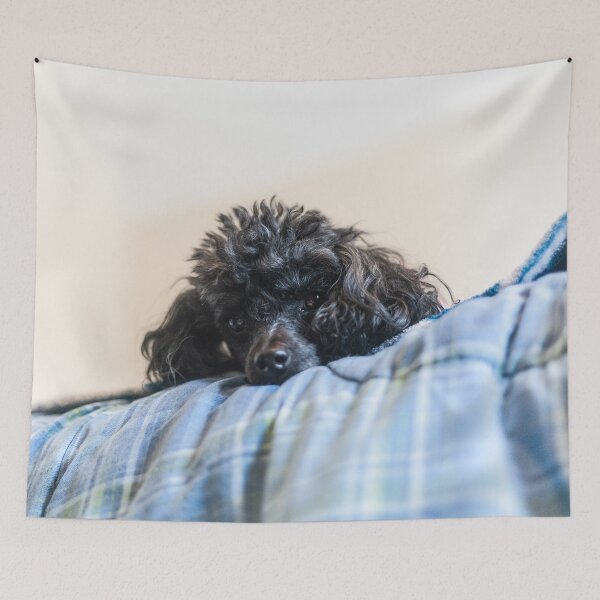 Item preview, Why are you down there designed and sold by KensLensDesigns.