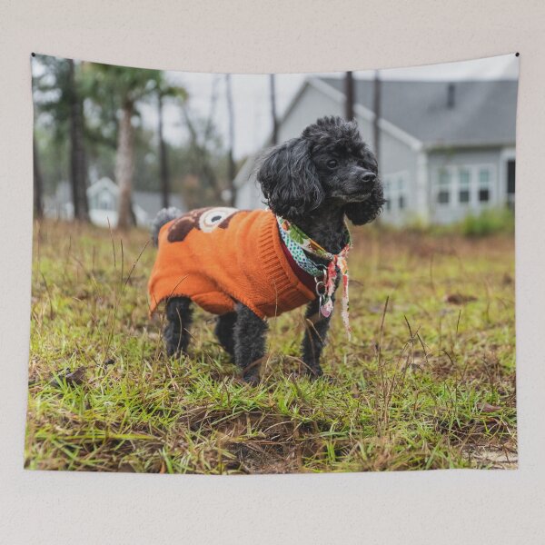 Item preview, Proud Poodle designed and sold by KensLensDesigns.