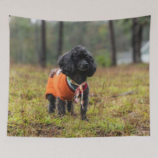 Item preview, Suburban poodles designed and sold by KensLensDesigns.
