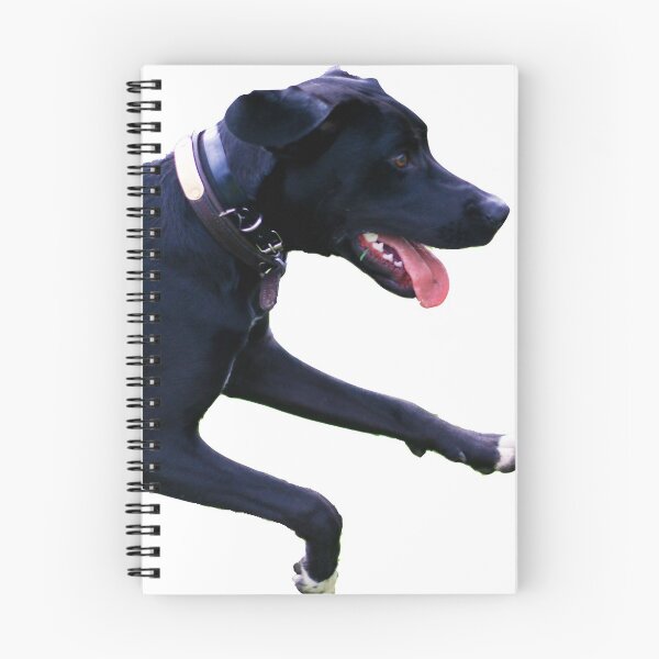 Item preview, Black Lab Running designed and sold by Maddie Dyer.