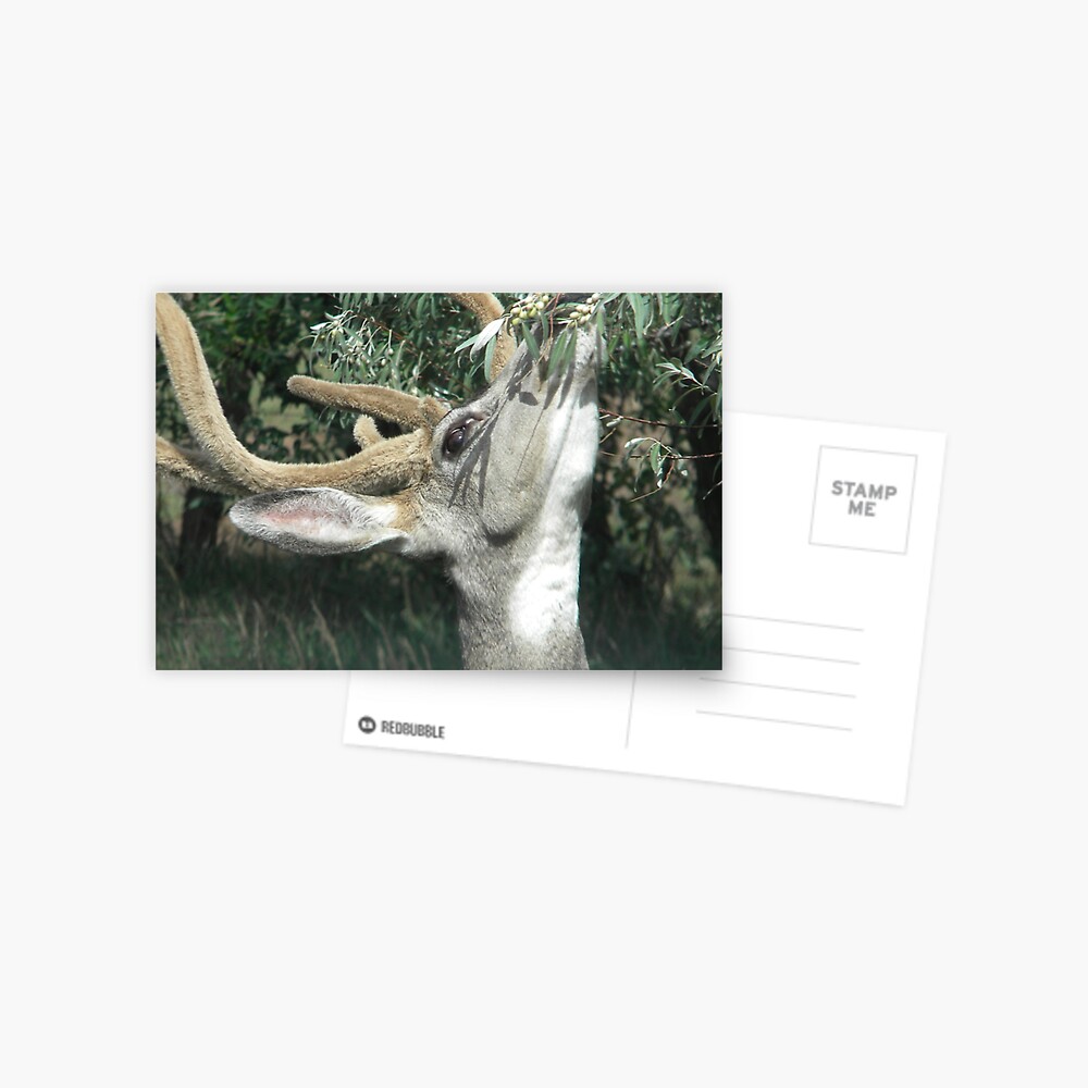 Item preview, Postcard designed and sold by deerpurple223.