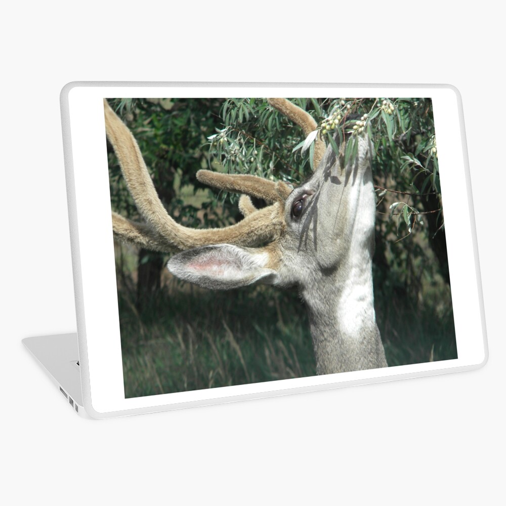 Item preview, Laptop Skin designed and sold by deerpurple223.