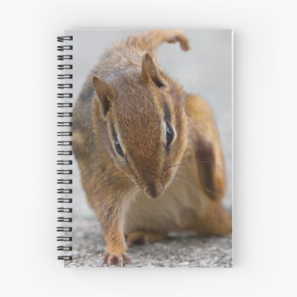 Item preview, Ninja Chipmunk designed and sold by WorldDesign.