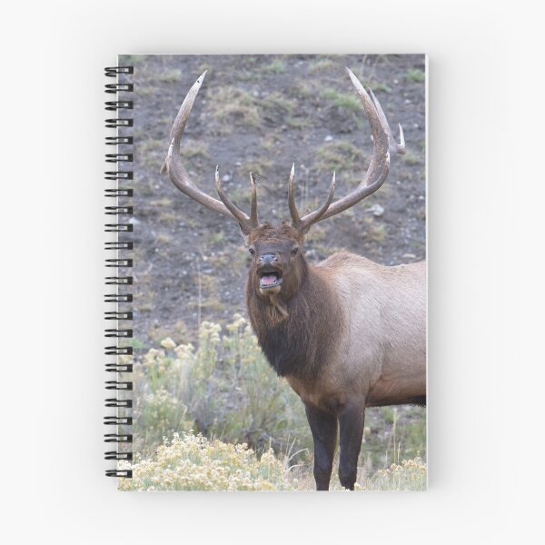 Item preview, Bull Elk Bugling designed and sold by WorldDesign.