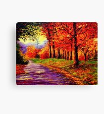 Connecticut Evening Maples Canvas Print