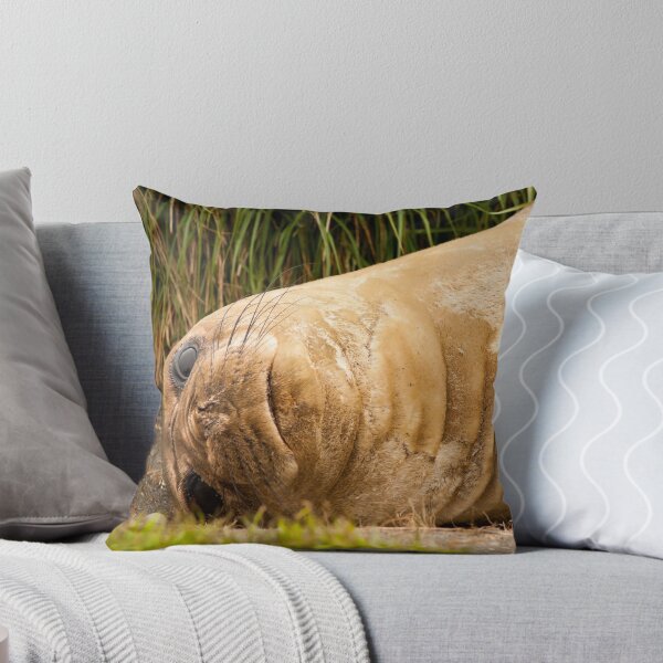 Item preview, Hug designed and sold by Phill Danze.