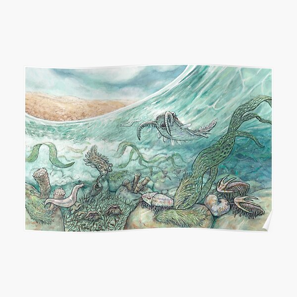 The Cambrian Poster