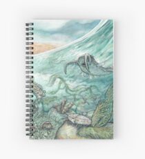The Cambrian Spiral Notebook