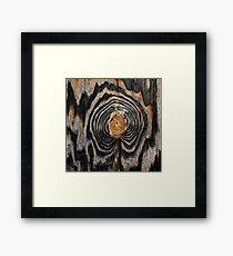 Wood knot Framed Print